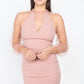 Pearl Trim Mesh Bodycon Dress